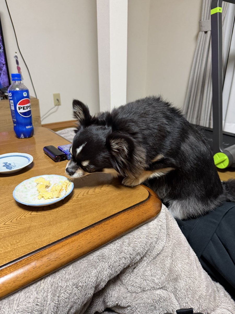 🦋ちぃ🦋 tweet media