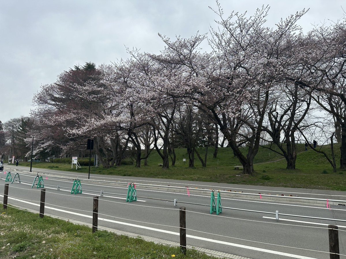 🦋ちぃ🦋 tweet media