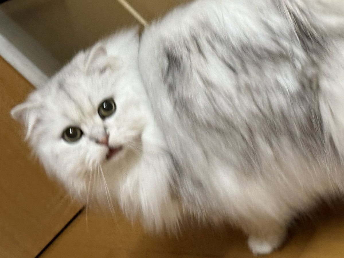 石田綾音💤 tweet media