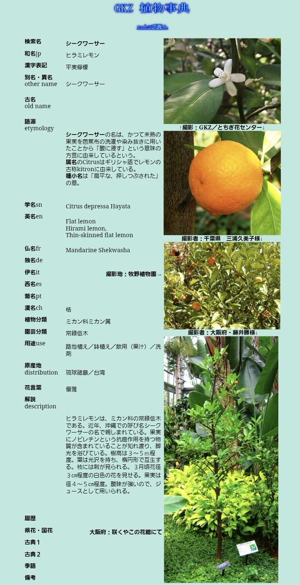 みんみん tweet media