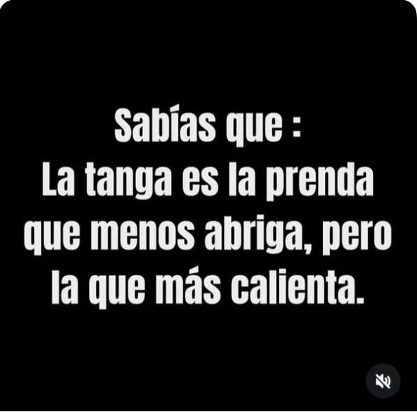 CabreadoNumero1 tweet media