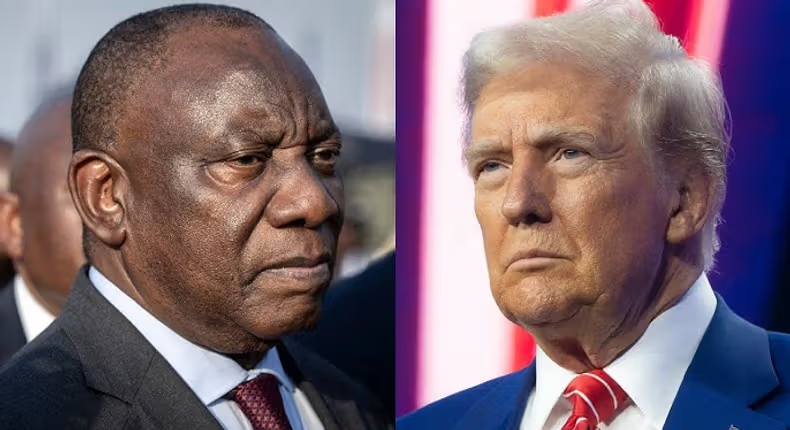 Business Insider Africa tweet media