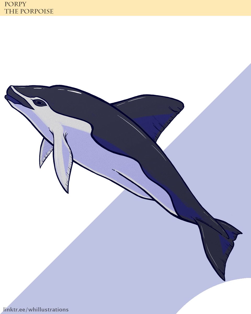 Watermelonhead tweet media