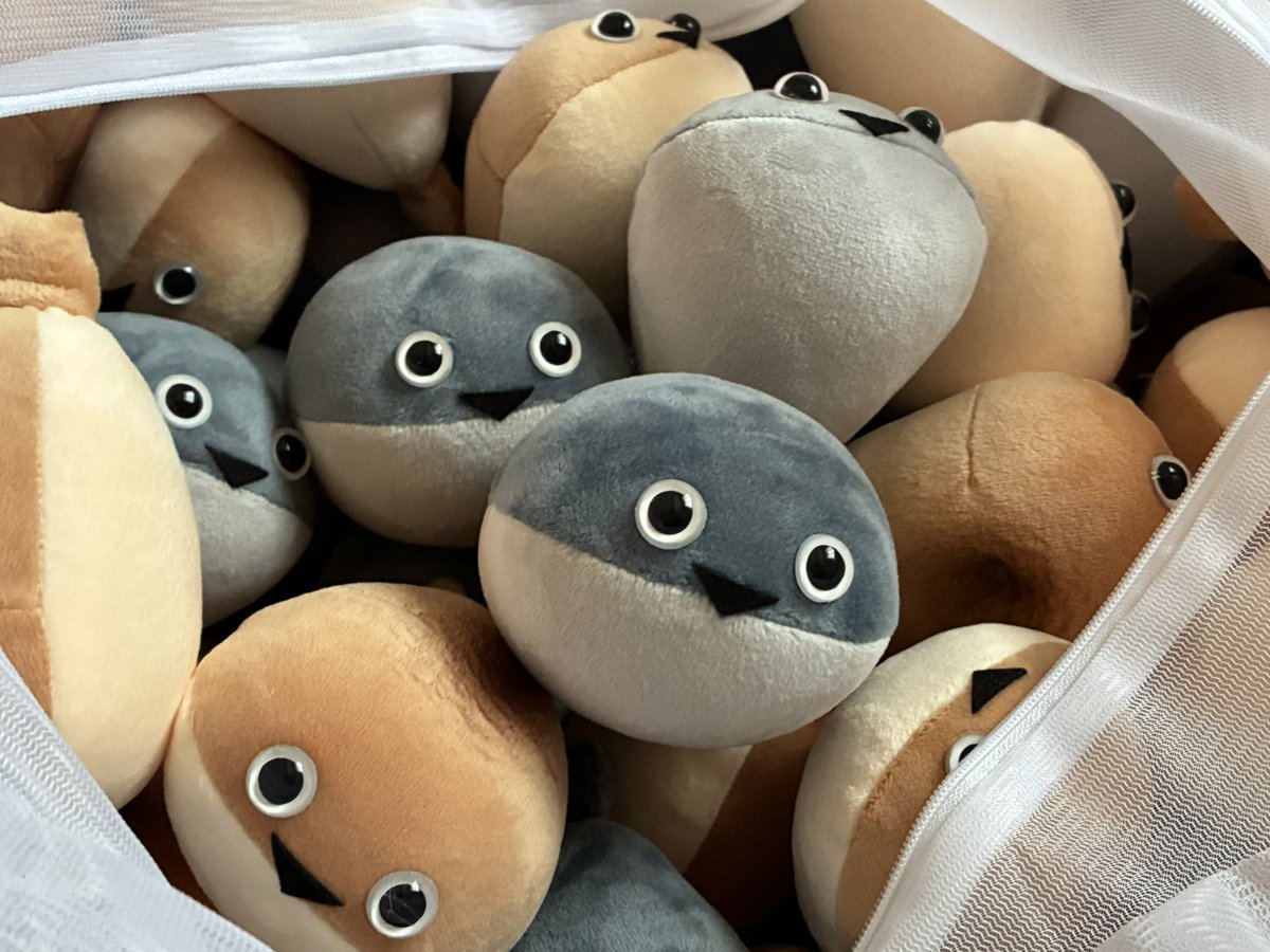 まめた@春例ふ15ab tweet media