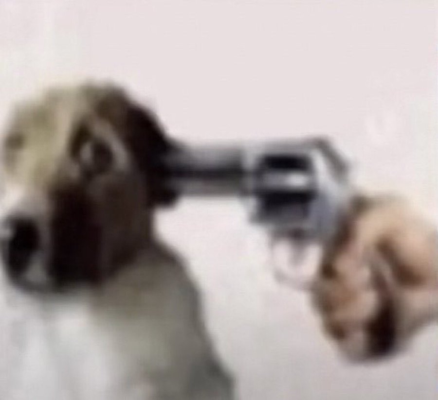 Get the fuck out tweet media