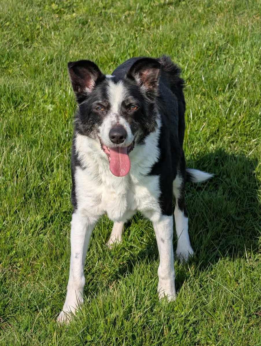 Greenacres Rescue tweet media