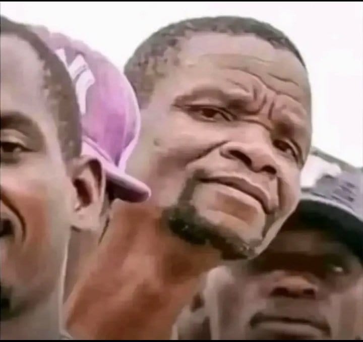 Wolf King 🪙🦊💰 tweet media