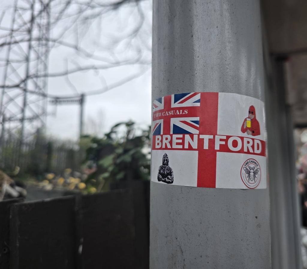 Chelsea Dan tweet media