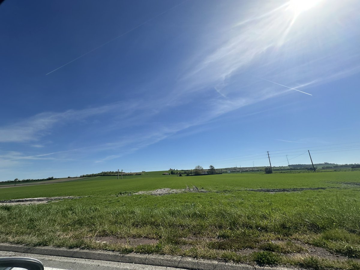 JUNGO ⚜️ tweet media