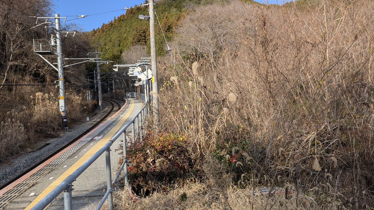 ハチミン tweet media