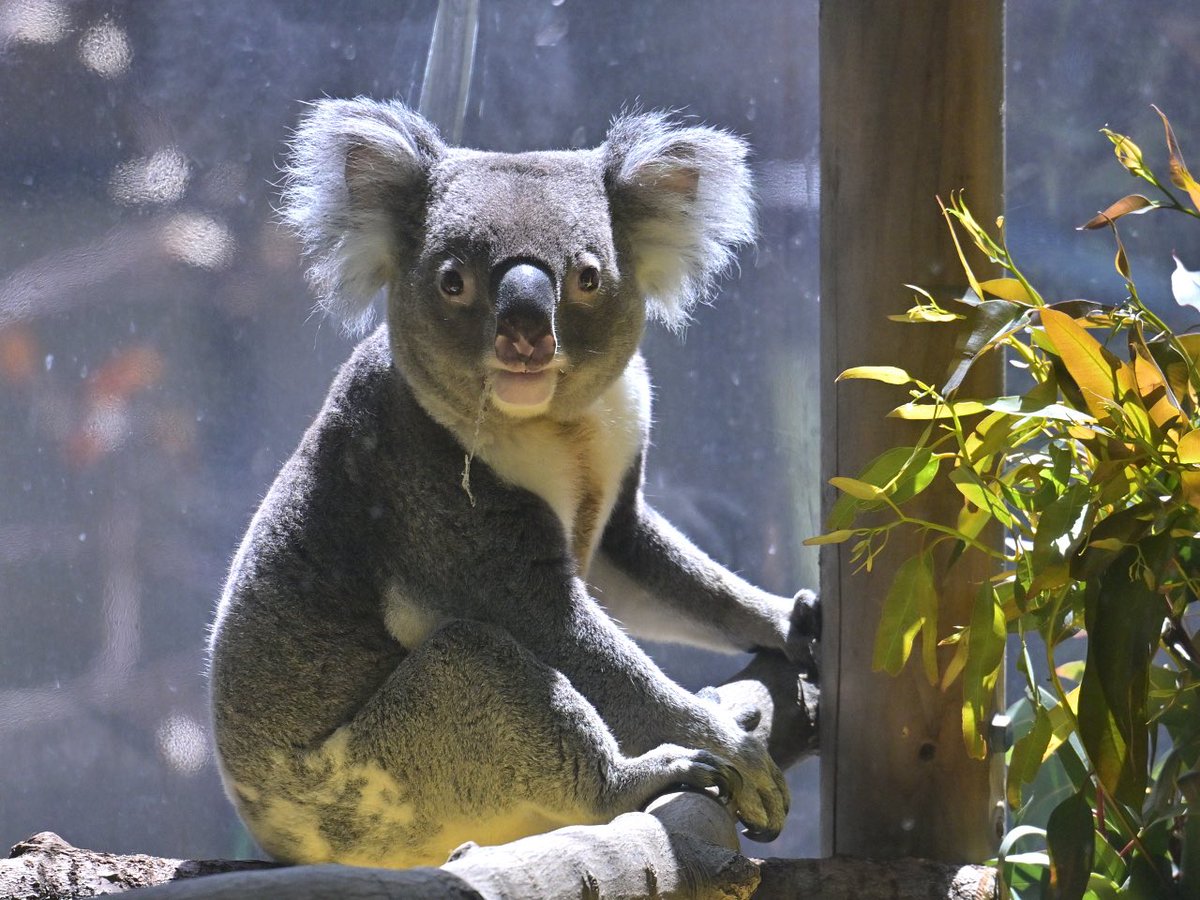 都築英哲 tweet media