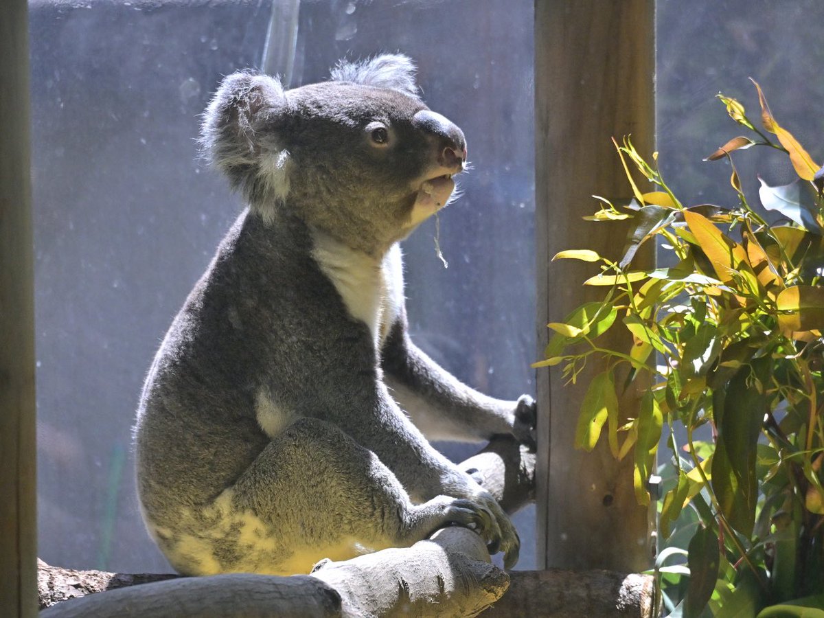 都築英哲 tweet media