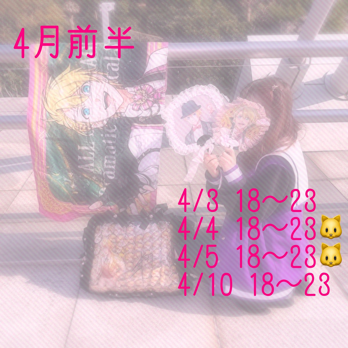 くま🧸ギルド池袋コンカフェ🐾 tweet media