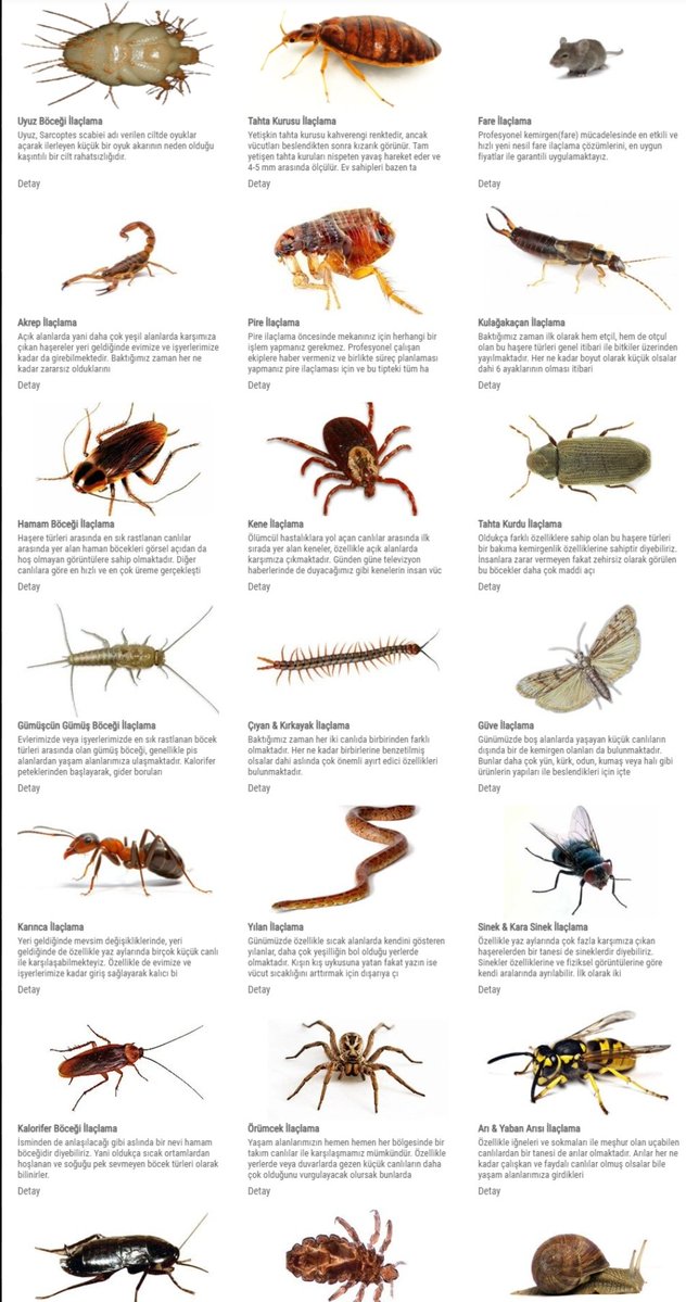 𝐵𝑖𝑙𝑎𝑙 𝑀𝑢𝑡𝑙𝑢 tweet media