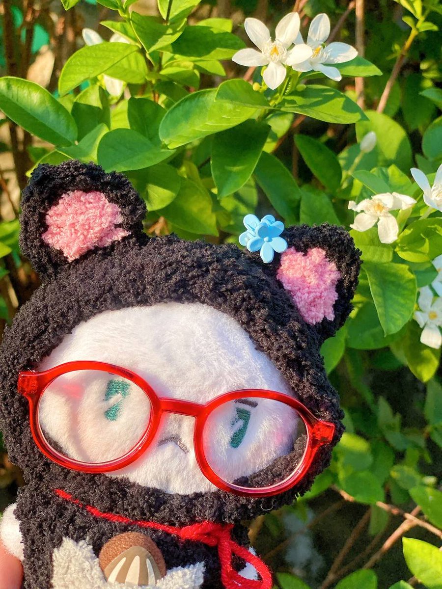 (🩵OPEN🩵) รับถักชุดตุ๊กตา (12:00-22:00)🐻 tweet media