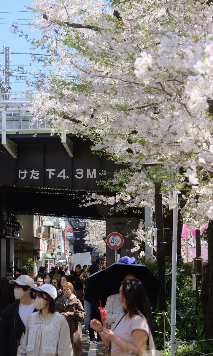 Teo テオ tweet media