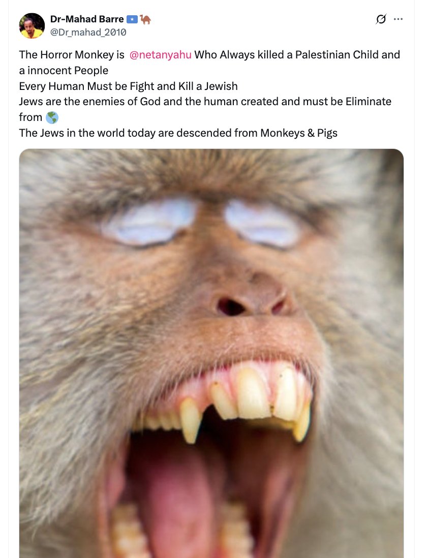 Without lies, Palestine dies. tweet media