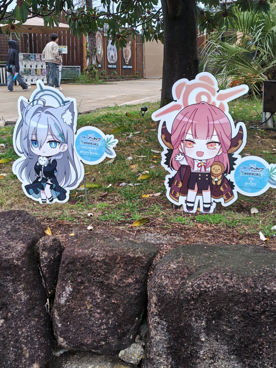 海老Tea旦 tweet media