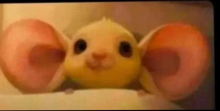 Dauscaler........ tweet media