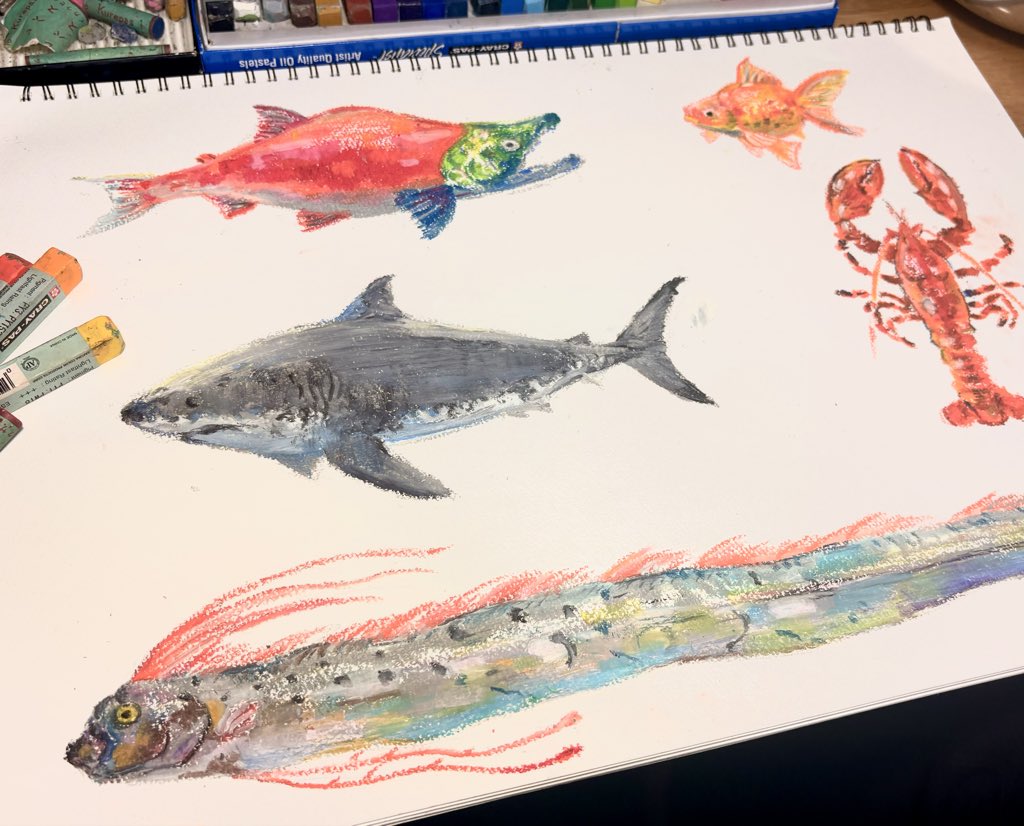 ほしの tweet media