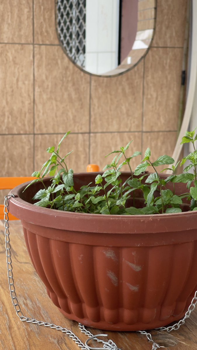 Izzy The Conspirator¹🕸️🇨🇲 tweet media