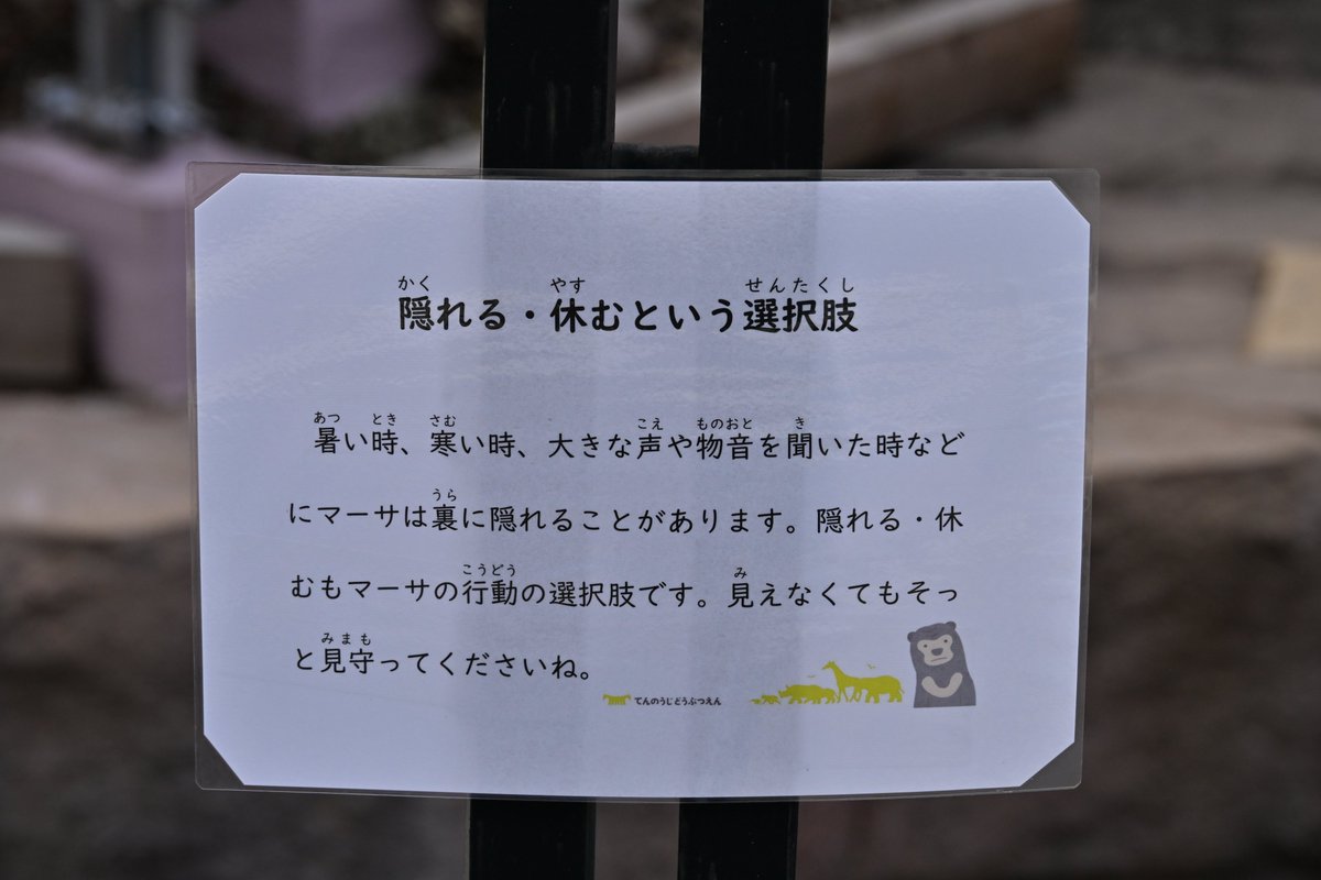 彩らっこ tweet media