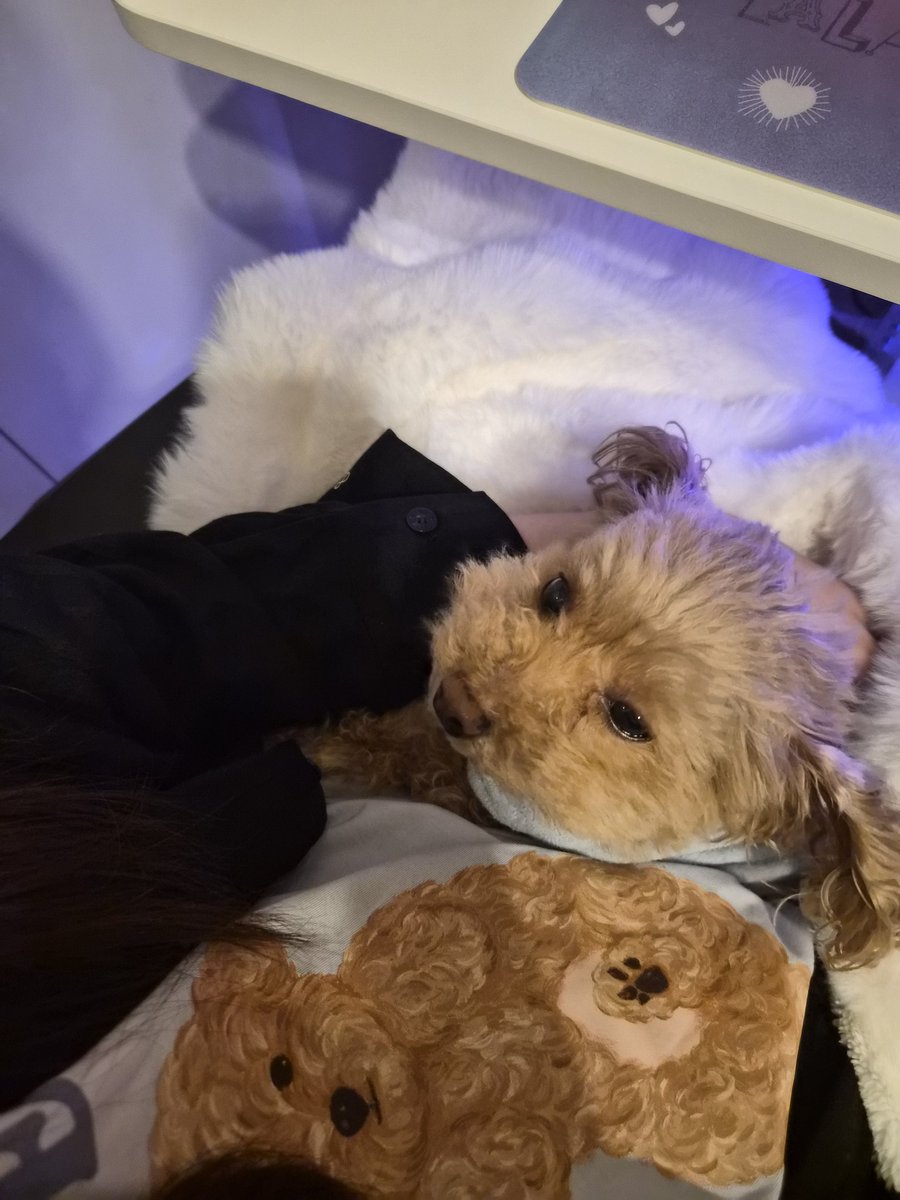 足立梨花🍑 tweet media