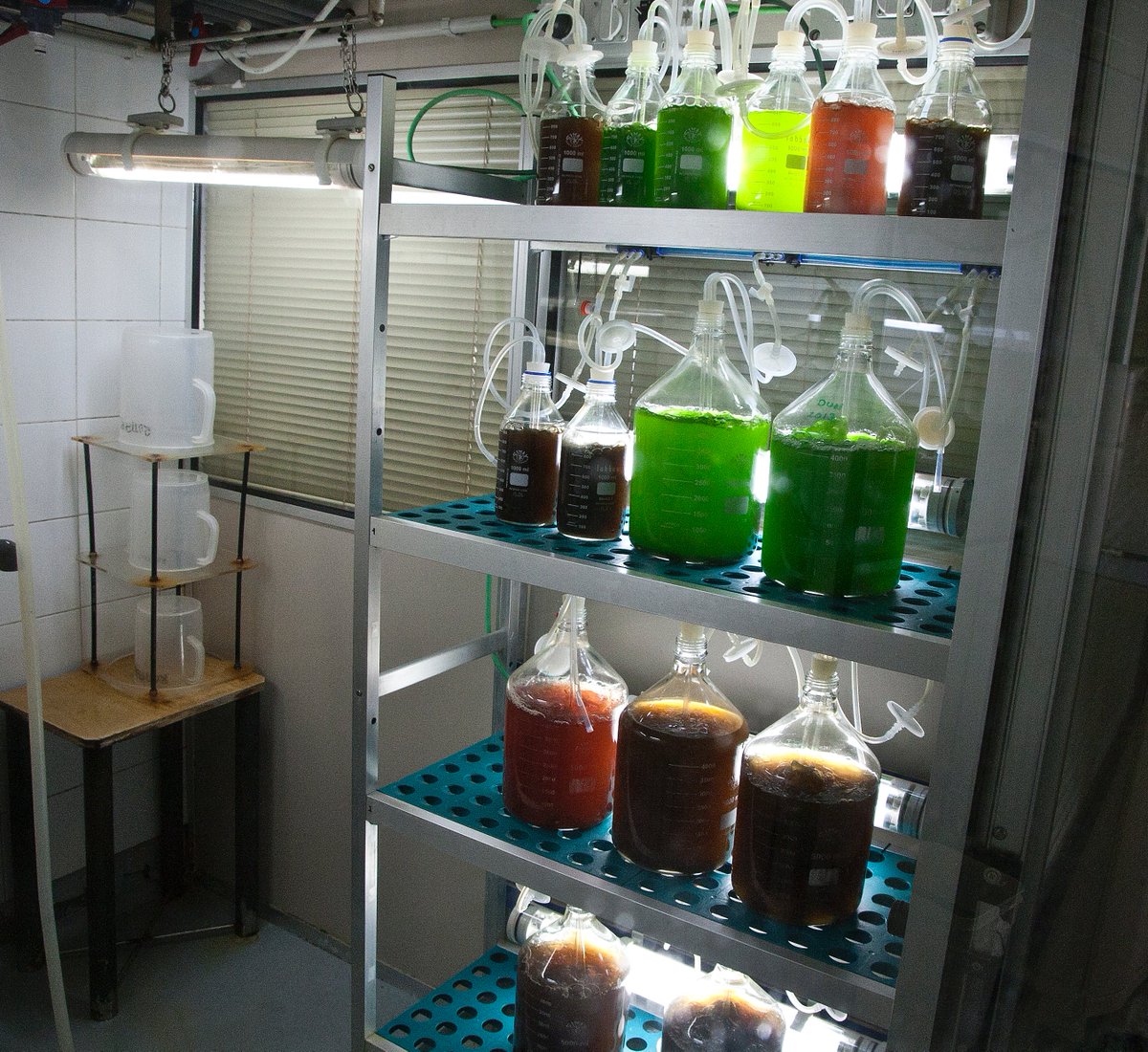 Museos Científicos Coruñeses tweet media