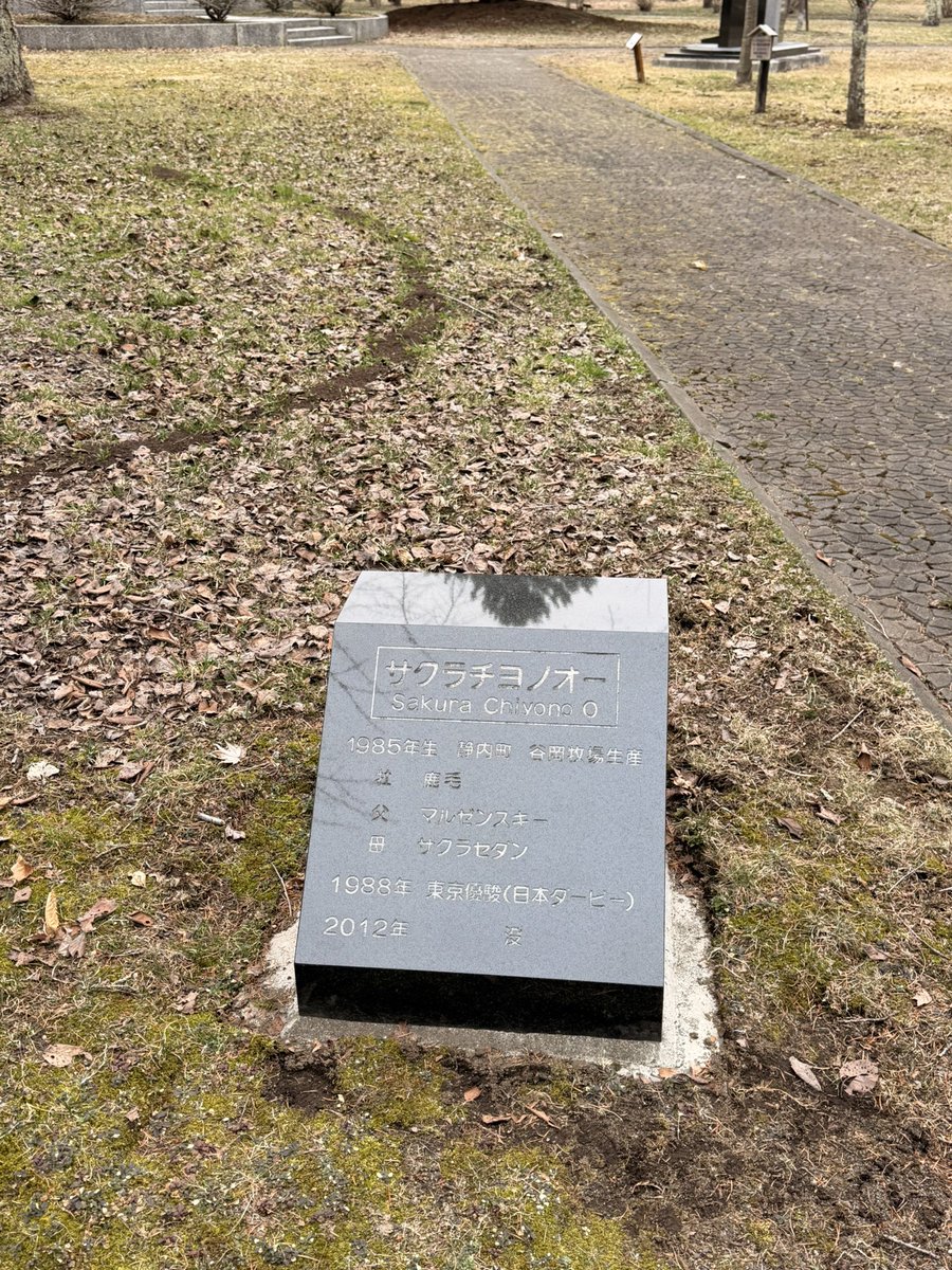 ろろ📊Marketer🩺 tweet media