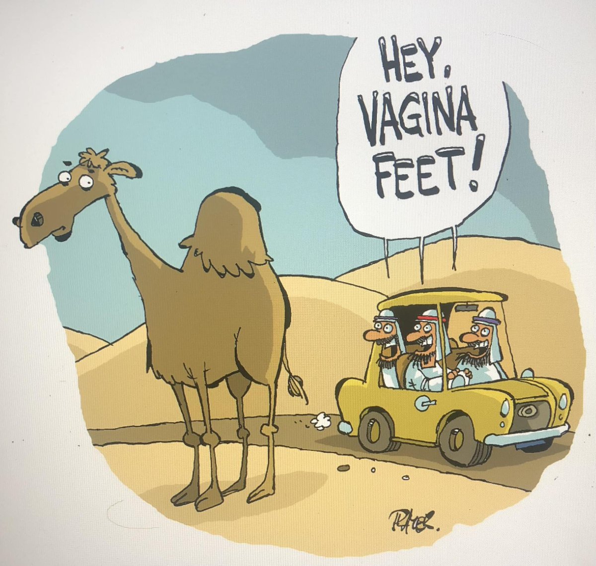 Chuck Lane MAGA tweet media