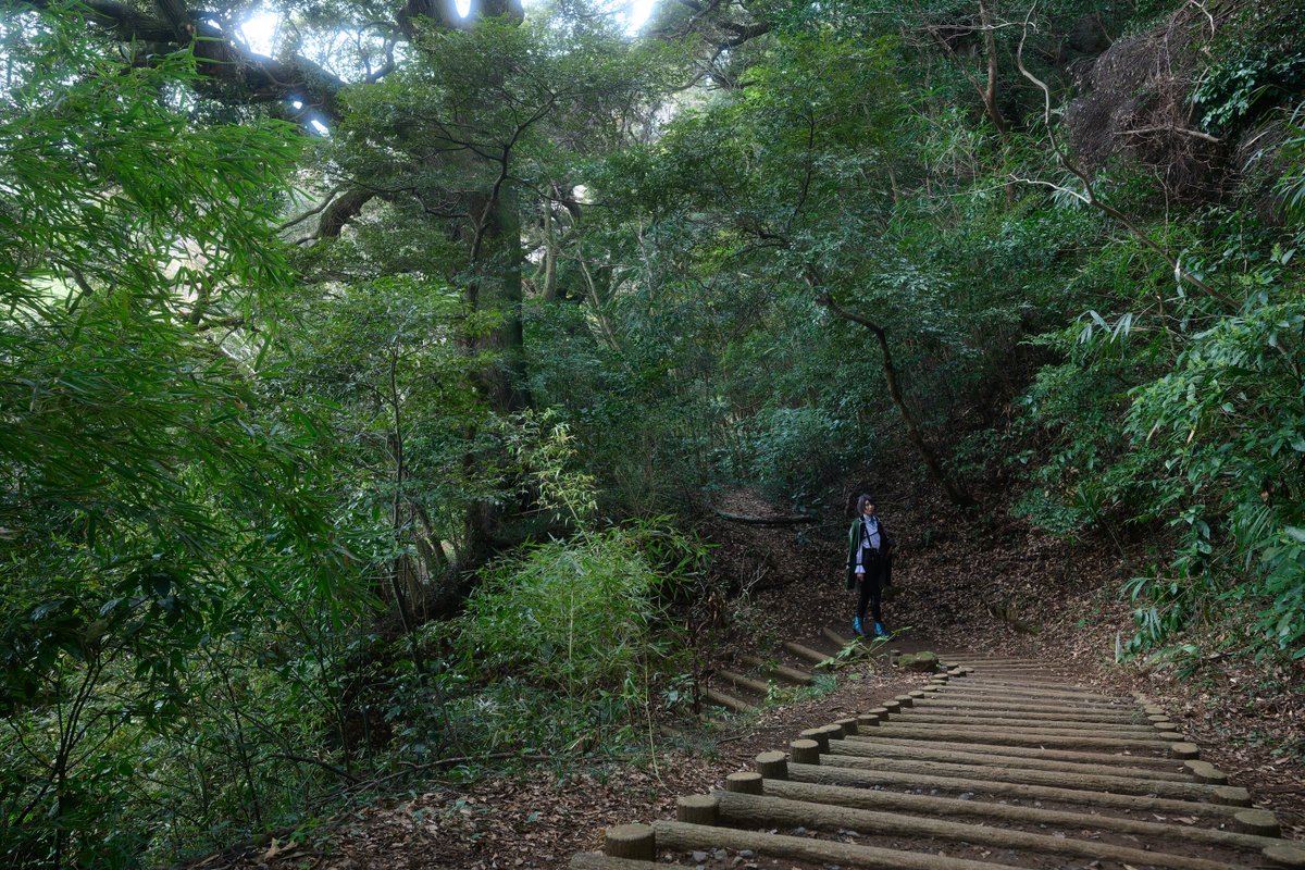 ダニエル📷 tweet media