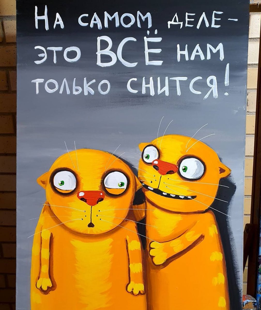 Анна tweet media