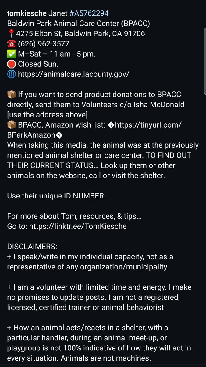 Foster a shelterpet at ZERO COST🐾 tweet media