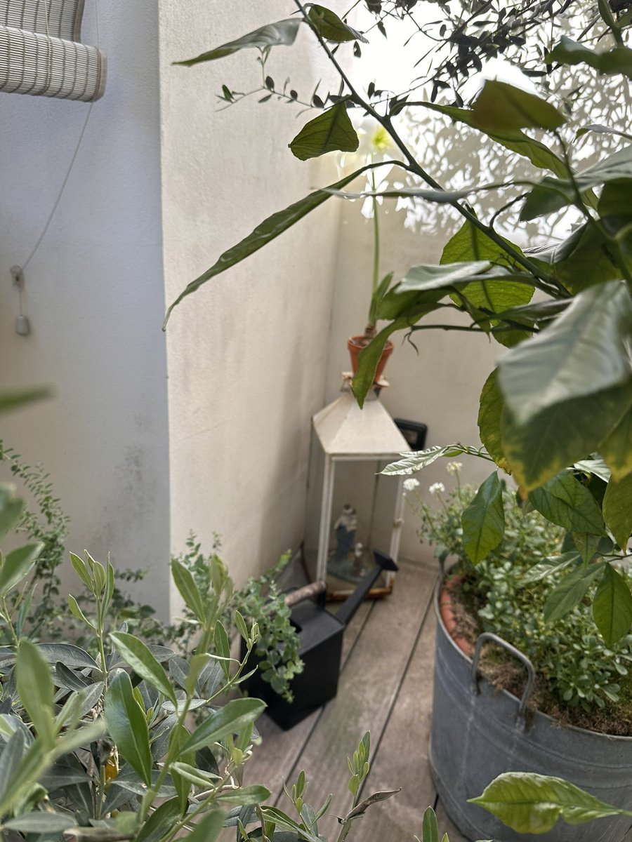 responsable du chaos tweet media