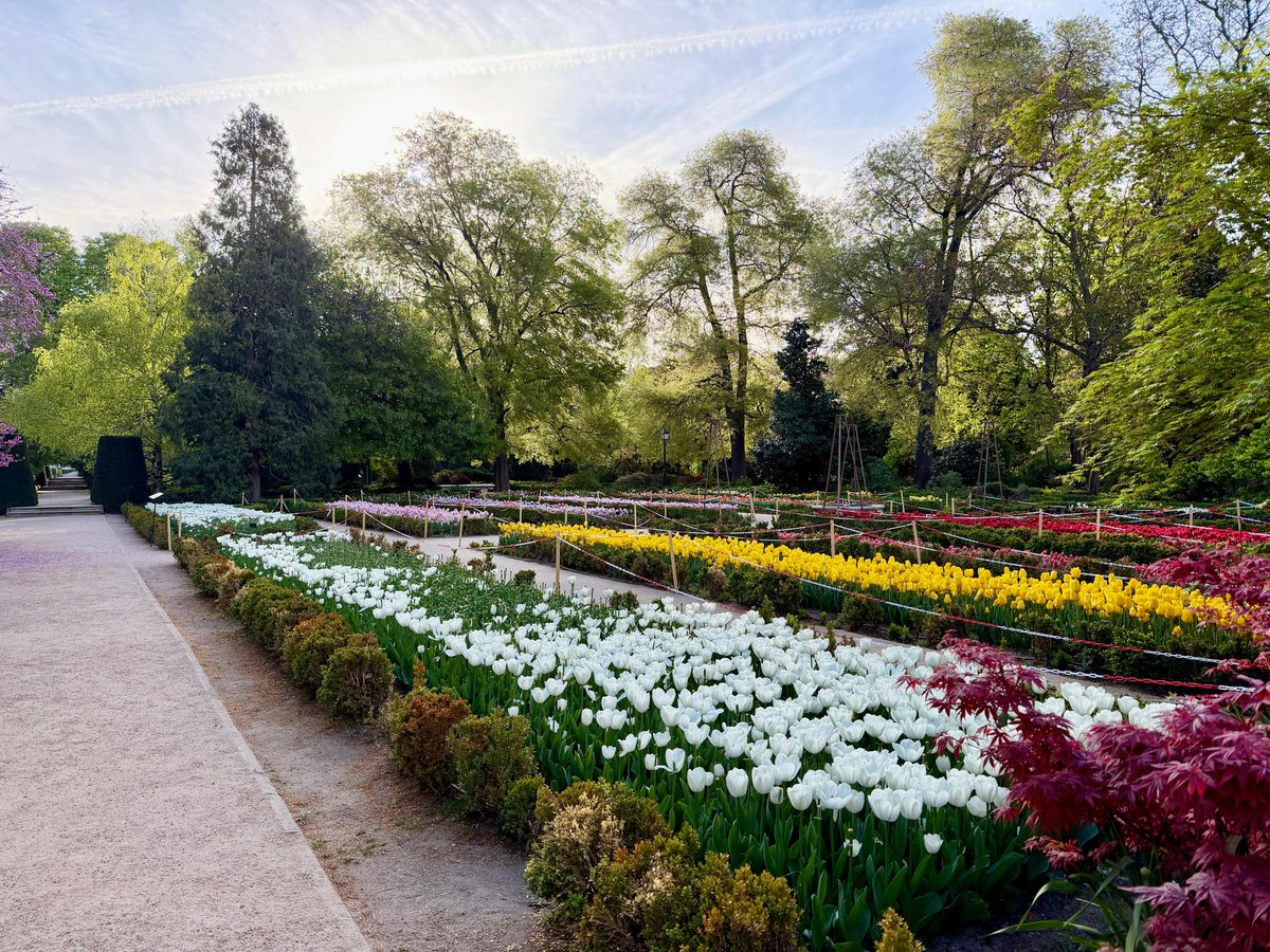 REAL JARDÍN BOTÁNICO tweet media