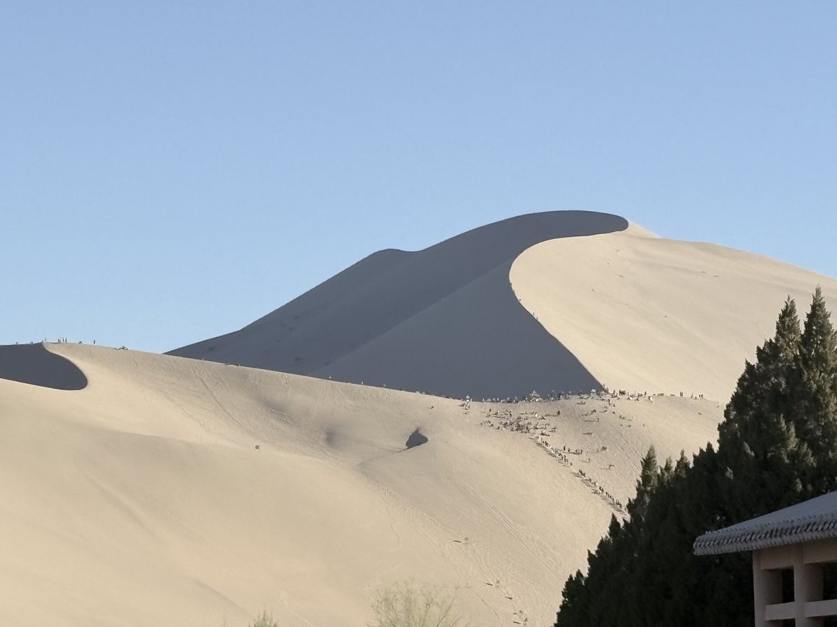 Chandler Jing tweet media