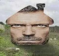 House gregory of shtwt tweet media