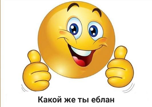 Alehandro tweet media