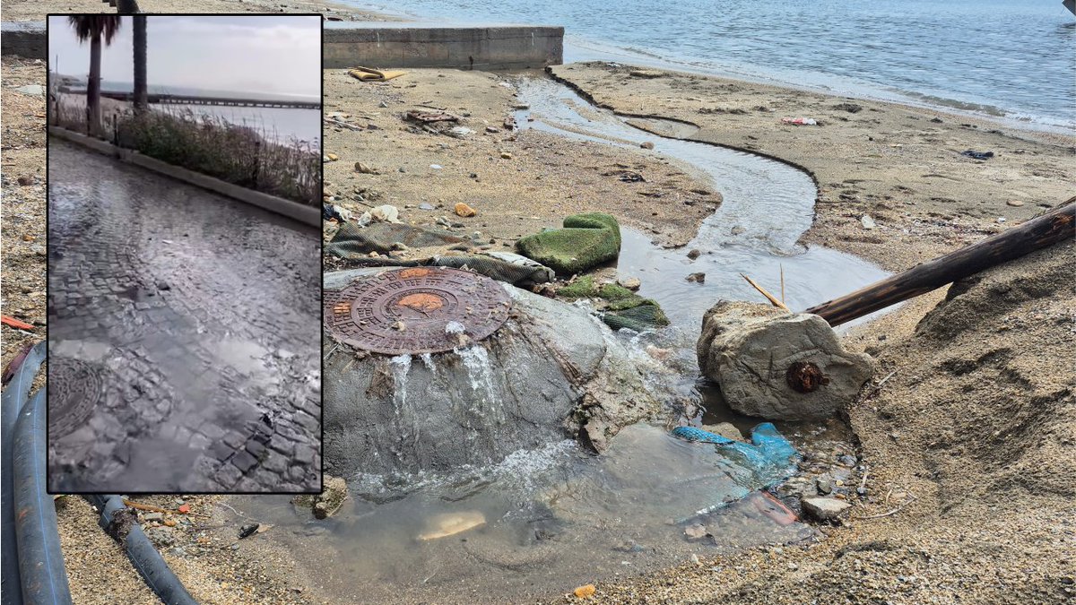 Bodrum Kent Tv tweet media