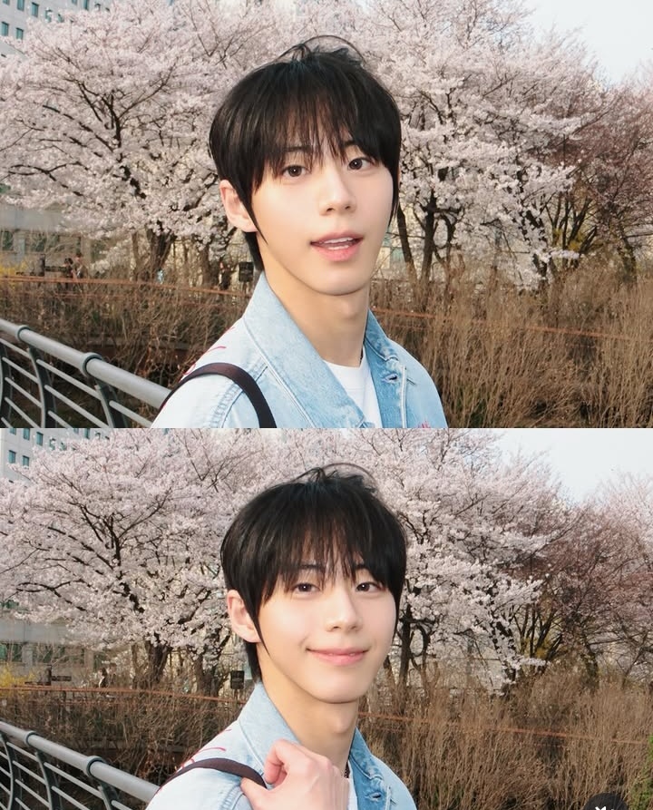 About AHOF tweet media