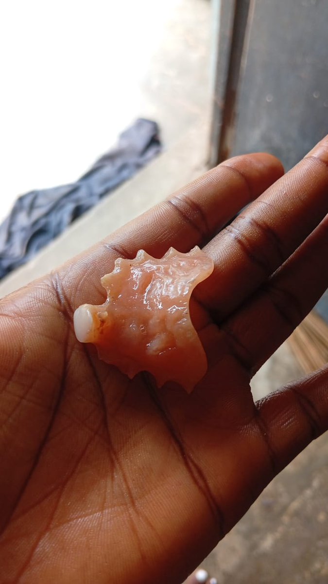 LOTUS🪷☥♒ tweet media