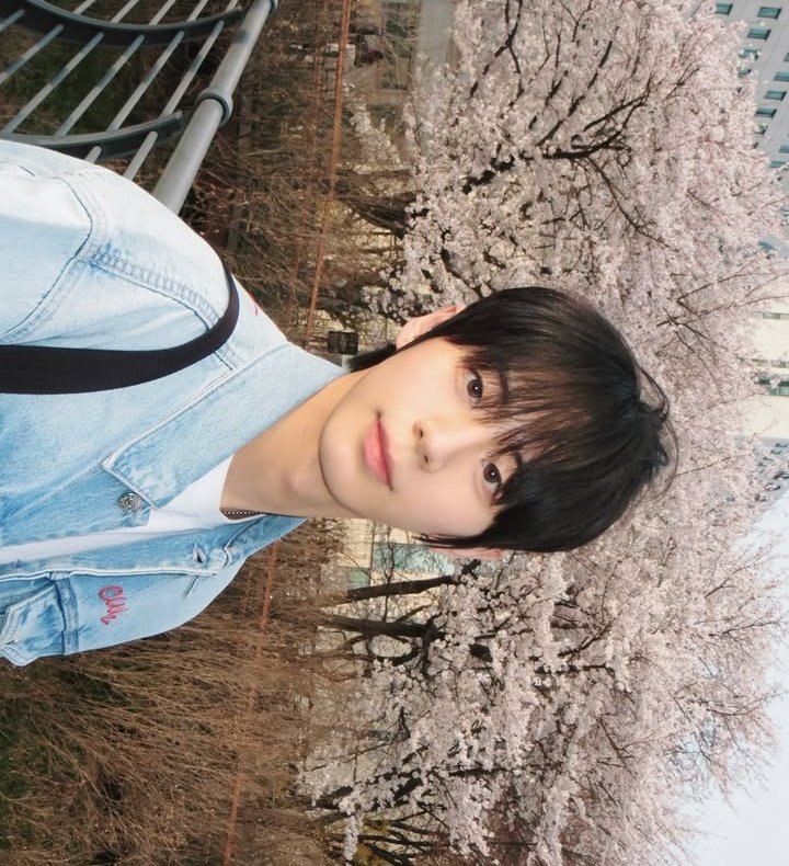 About AHOF tweet media