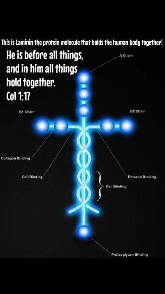 Staci Bryant tweet media