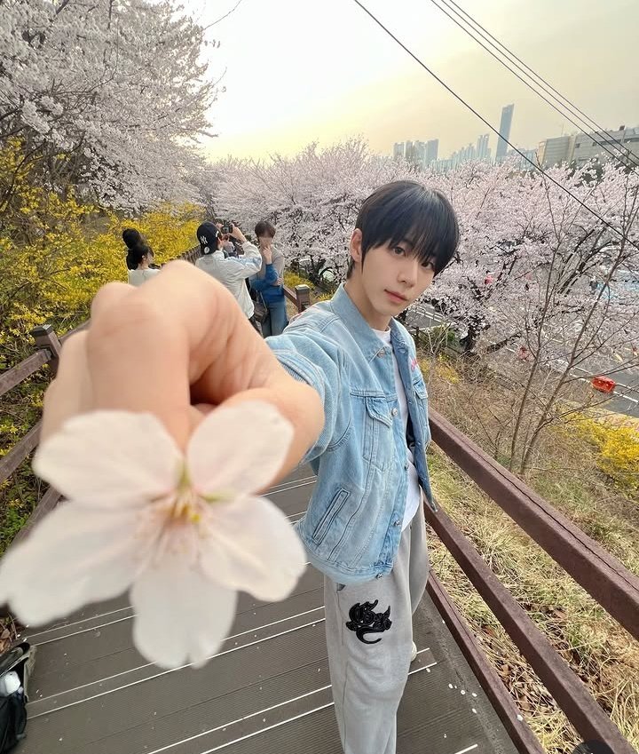 About AHOF tweet media