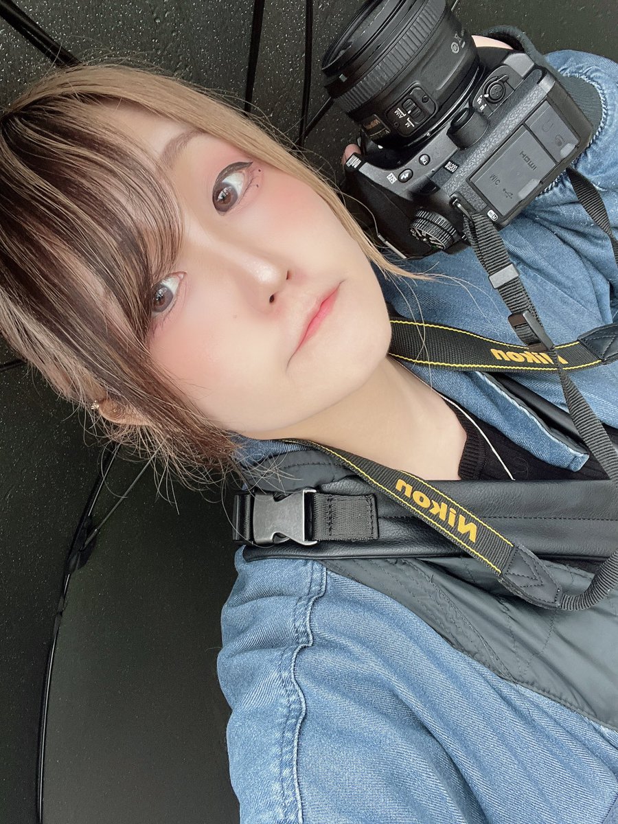 とよはし しほ tweet media