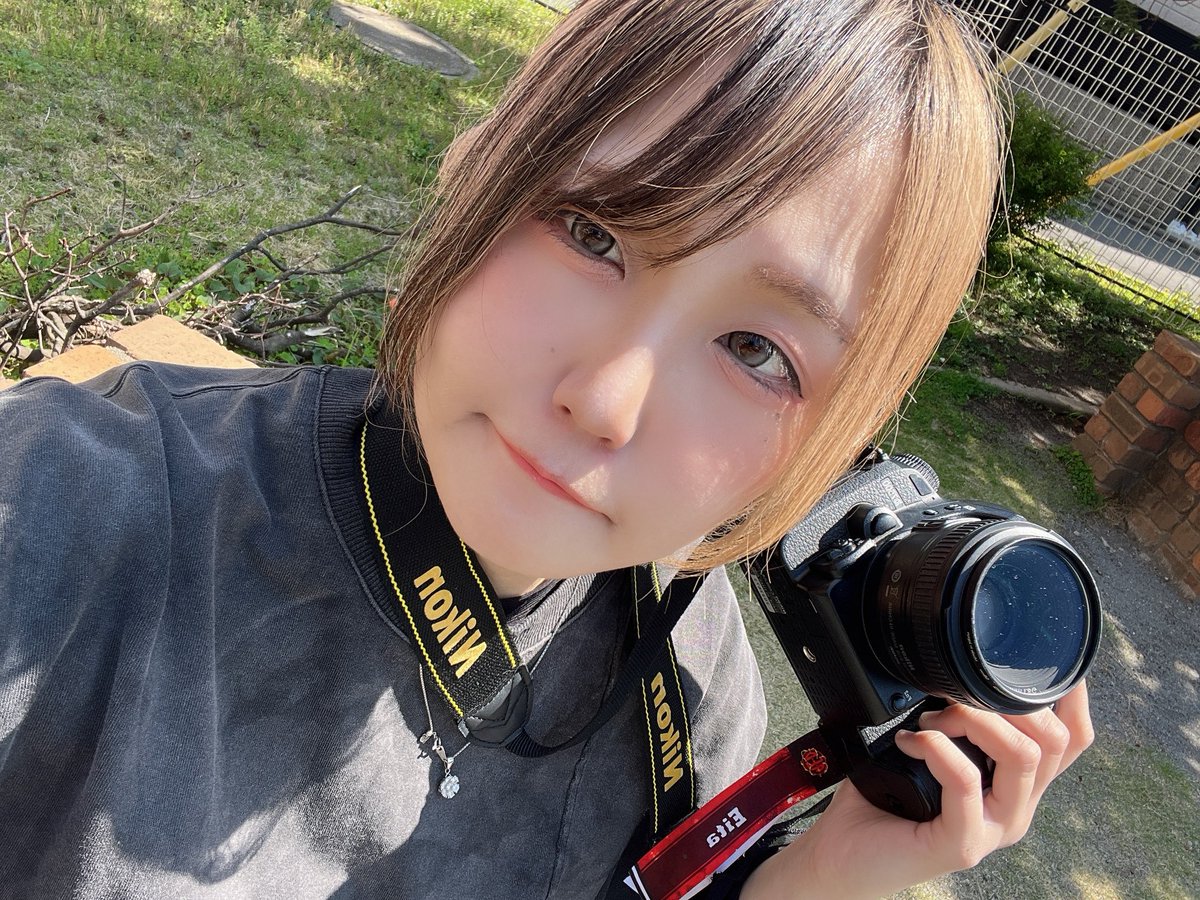 とよはし しほ tweet media