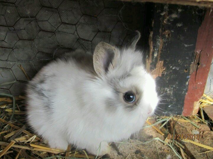 nyatalia ⋆˙⟡ tweet media