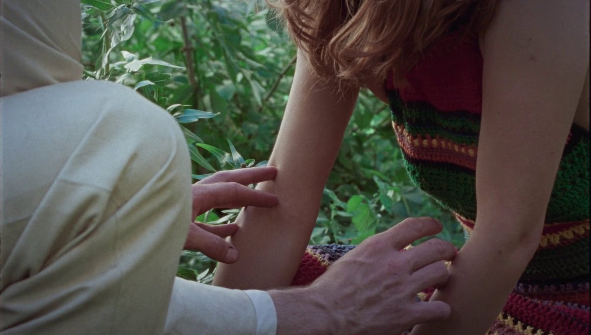 the cinema fella tweet media