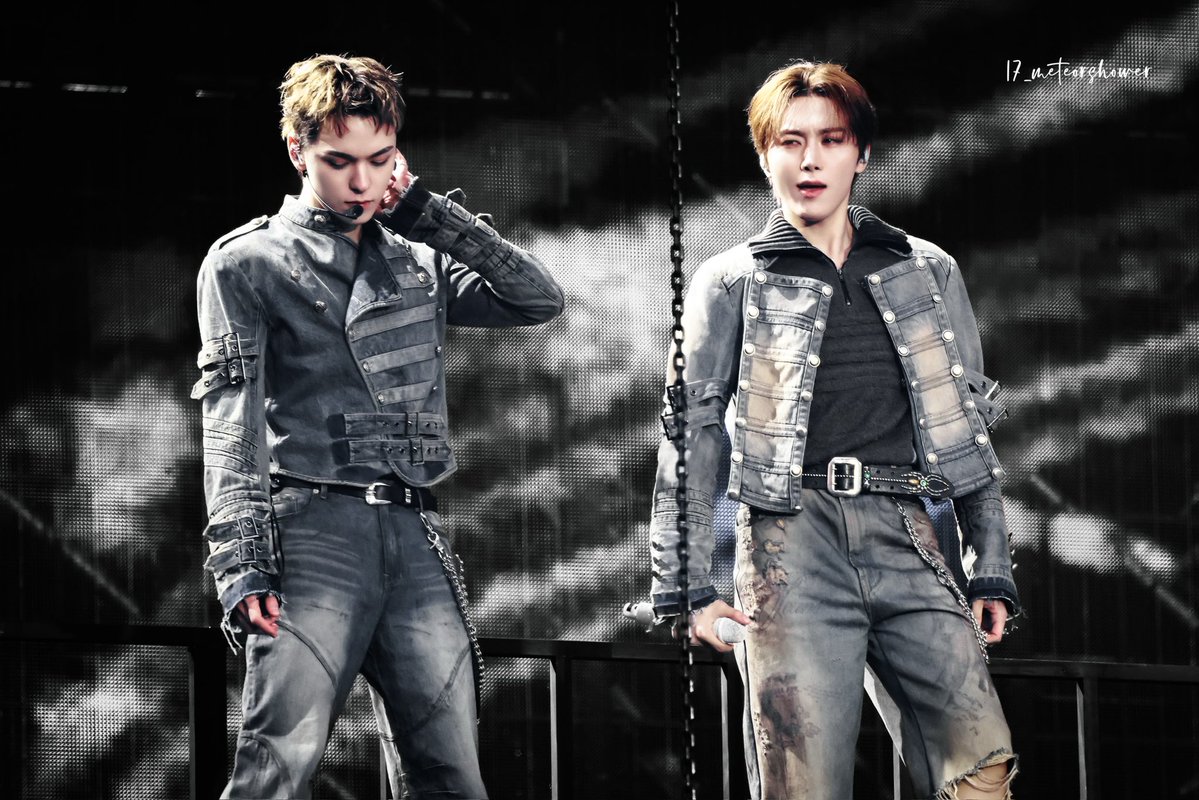 17_meteorshower tweet media