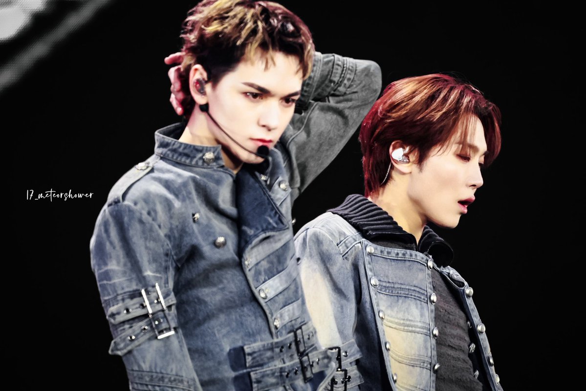 17_meteorshower tweet media